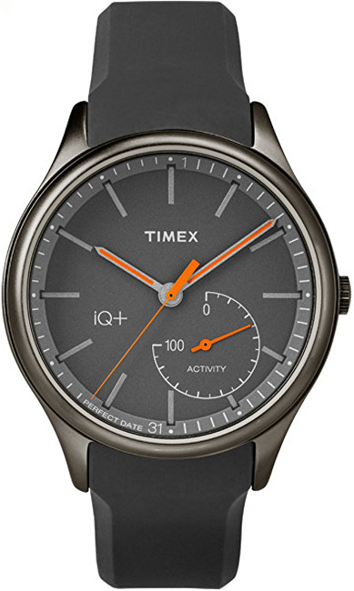 Timex Chytré hodinky iQ  TW2P95000UK