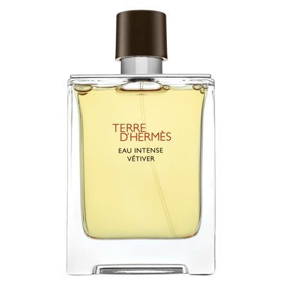 Hermes Terre D'Hermes Eau Intense Vetiver parfémovaná voda pre mužov 100 ml PHERMTDHVEMXN099571